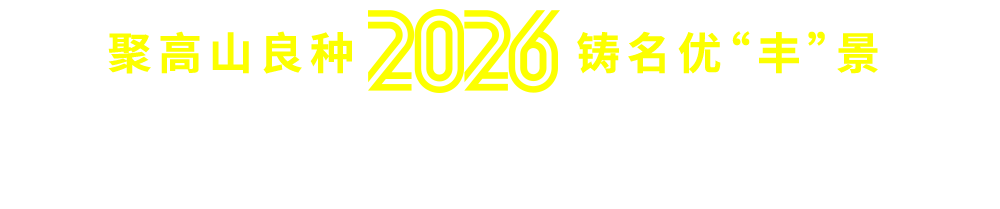 淘种网